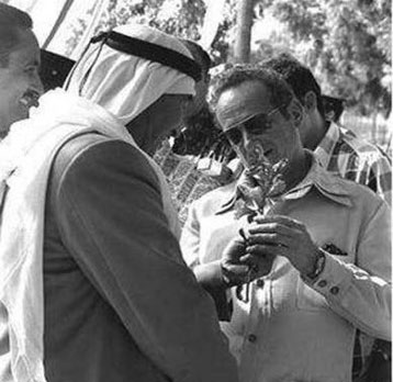 Yigal Allon and an Arab man holding a plant together, smiling