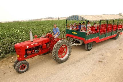   A tractor pulling a wagon with children near a green field